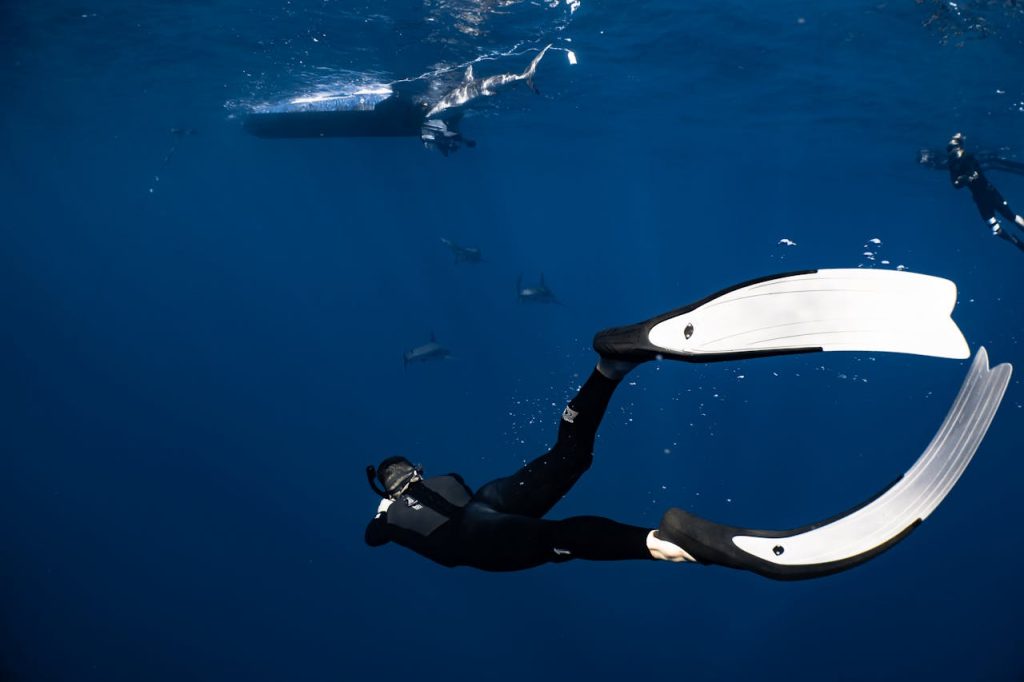 pexels-photo-6961664 Back view anonymous diver wearing wetsuit and flippers swimming in dark blue seawater