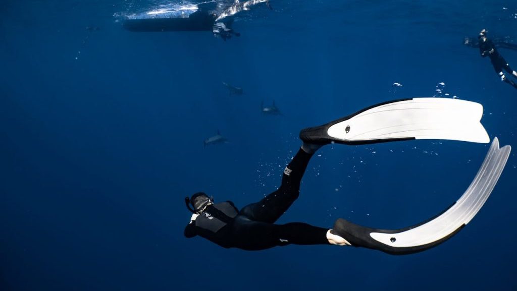 pexels-photo-6961664 Back view anonymous diver wearing wetsuit and flippers swimming in dark blue seawater